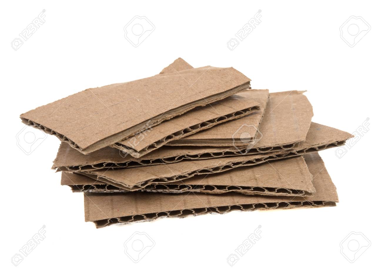Cardboard